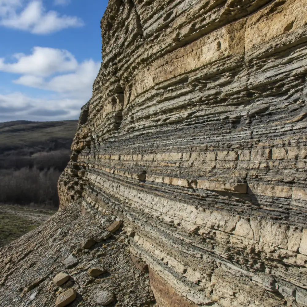 úvod do všeobecné paleontologie