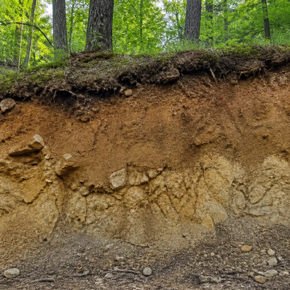 vrch vítkov geologie