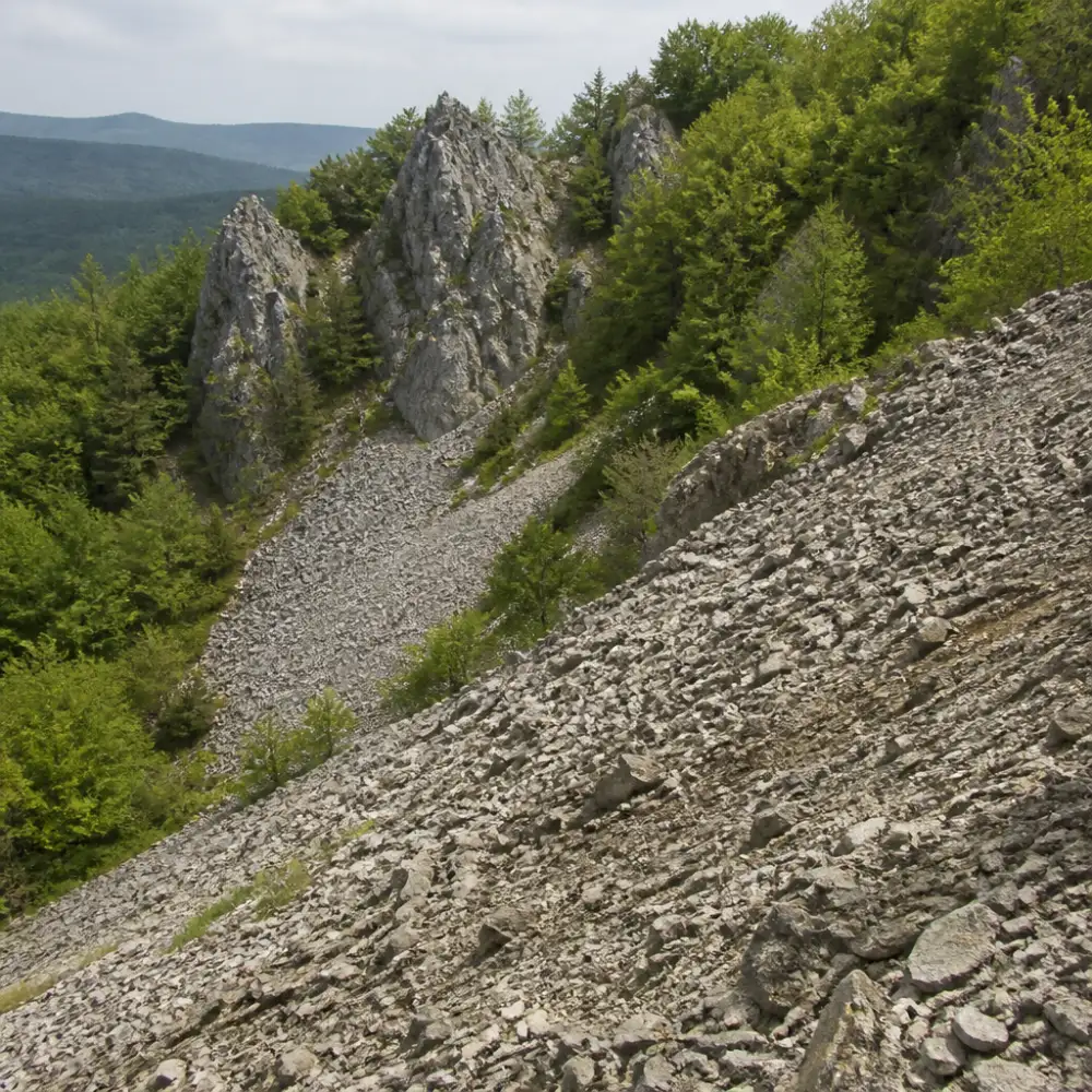grus geologie